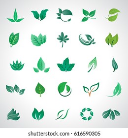 Leaf icons set, vector illustration. Collection of green leaves symbols isolated on gray background. Different shapes in modern flat style design