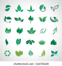 Leaf icons set, vector illustration. Collection of green leaves symbols isolated on gray background. Different shapes in modern flat style design