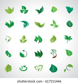 Leaf icons set, vector illustration. Collection of green leaves symbols isolated on gray background. Different shapes in modern flat style design