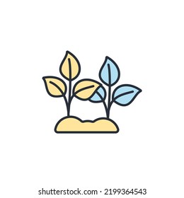 leaf icons  symbol vector elements for infographic web