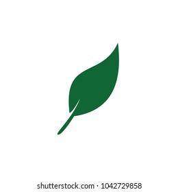 Leaf icons vector design leaves green concept illustration isolated nature premium