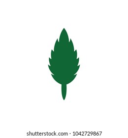 Leaf icons vector design leaves green concept illustration isolated nature premium