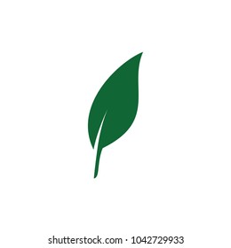 Leaf icons vector design leaves green concept illustration isolated nature premium