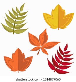 Leaf icons. Vector isolated set of autumn leaves.