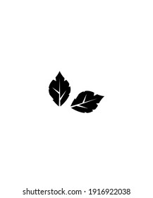 leaf icon,vector best flat icon.