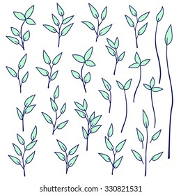 Leaf illustration