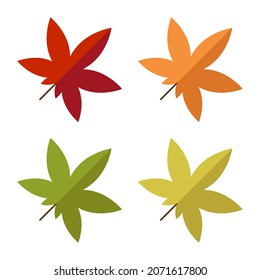 Leaf illustration collection flat design