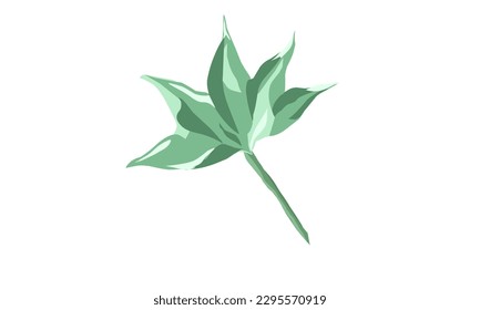 Leaf illustration with color gradations. A leaf isolated on white background 