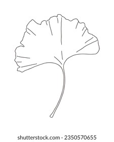 It is a leaf illustration of a ginkgo tree, a tree representing autumn. Ginkgo leaves are yellow fallen leaves, and the fruit can be eaten.