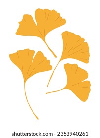 It is a leaf illustration of a ginkgo tree, a tree representing autumn. Ginkgo leaves are yellow fallen leaves, and the fruit can be eaten.