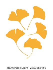 It is a leaf illustration of a ginkgo tree, a tree representing autumn. Ginkgo leaves are yellow fallen leaves, and the fruit can be eaten.