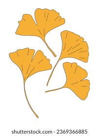 It is a leaf illustration of a ginkgo tree, a tree representing autumn. Ginkgo leaves are yellow fallen leaves, and the fruit can be eaten.