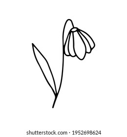 ilustración. estilo de línea vectorial de icono de hoja. diseño de arte artesanal