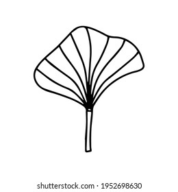 leaf illustration. leaf icon vector line style. handraw art design