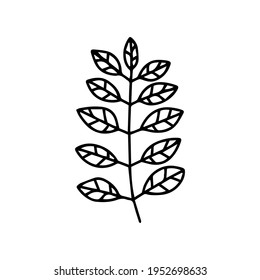 leaf illustration. leaf icon vector line style. handraw art design