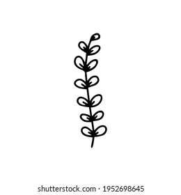 Illustration. Blattsymbol, Vektorlinienstil. Handrohes Kunstdesign
