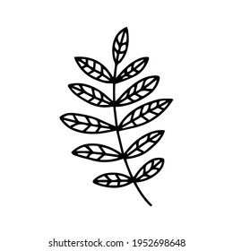 leaf illustration. leaf icon vector line style. handraw art design