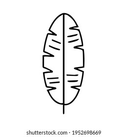 leaf illustration. leaf icon vector line style. handraw art design