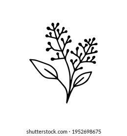 leaf illustration. leaf icon vector line style. handraw art design