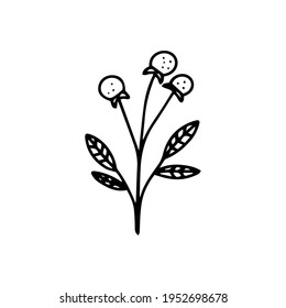 leaf illustration. leaf icon vector line style. handraw art design