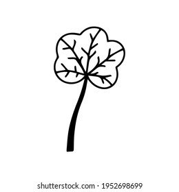 leaf illustration. leaf icon vector line style. handraw art design