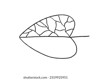 Leaf illustration image. 
Hand drawn image artwork of a leaf. 
Simple cute original logo.
Hand drawn vector illustration for posters, cards, t-shirts.
