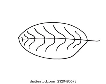 Leaf illustration image. 
Hand drawn image artwork of a leaf. 
Simple cute original logo.
Hand drawn vector illustration for posters, cards, t-shirts.