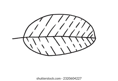 Leaf illustration image. 
Hand drawn image artwork of a leaf. 
Simple cute original logo.
Hand drawn vector illustration for posters, cards, t-shirts.