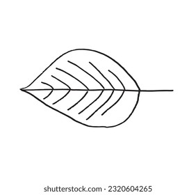 Bild der linken Abbildung. 
Handgezeichnete Bildarten eines Blattes. 
Einfaches, niedliches Originallogo.
Handgezeichnete Vektorgrafik für Poster, Karten, T-Shirts.