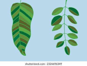 Leaf illustration image. 
Hand drawn image artwork of a leaf. 
Simple cute original logo.
Hand drawn vector illustration for posters, cards, t-shirts.