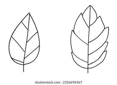 Leaf illustration image. 
Hand drawn image artwork of a leaf. 
Simple cute original logo.
Hand drawn vector illustration for posters, cards, t-shirts.