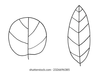 Leaf illustration image. 
Hand drawn image artwork of a leaf. 
Simple cute original logo.
Hand drawn vector illustration for posters, cards, t-shirts.
