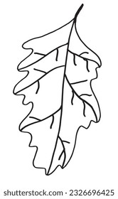 Leaf illustration image. 
Hand drawn image artwork of a leaf. 
Simple cute original logo.
Hand drawn vector illustration for posters, cards, t-shirts.