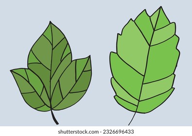 Leaf illustration image. 
Hand drawn image artwork of a leaf. 
Simple cute original logo.
Hand drawn vector illustration for posters, cards, t-shirts.