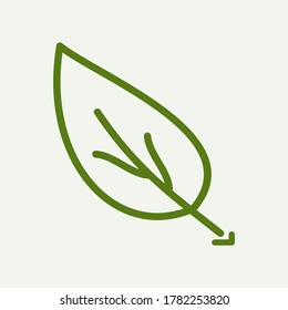 
leaf. illustration of leaves with outline style. leaf icon design