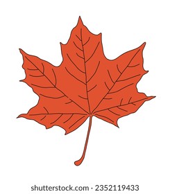 It is a leaf illustration of a maple tree, a tree representing autumn. The maple leaf is used as the national flag of Canada, and it is a red fallen leaf.