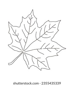 It is a leaf illustration of a maple tree, a tree representing autumn. The maple leaf is used as the national flag of Canada, and it is a red fallen leaf.