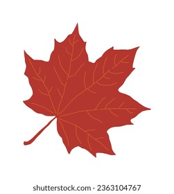 It is a leaf illustration of a maple tree, a tree representing autumn. The maple leaf is used as the national flag of Canada, and it is a red fallen leaf.