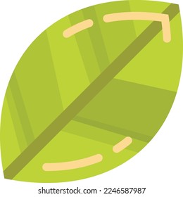 leaf illustration in minimal style isolated on background
