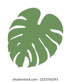 Leaf illustration of a monstera plant. It has holes in the leaves and is often seen in tropical regions. It can be seen in many interior potted plants.