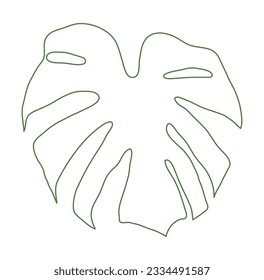 Leaf illustration of a monstera plant. It has holes in the leaves and is often seen in tropical regions. It can be seen in many interior potted plants.
