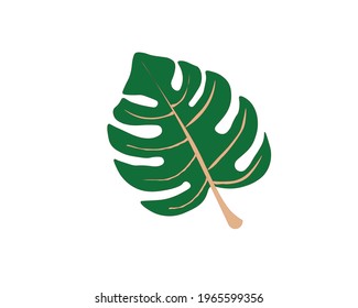 leaf illustration nature , icon leaf green plant 