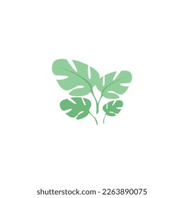 leaf illustration on white background