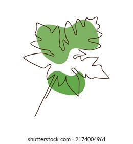 Leaf illustration one line art isolated white background 