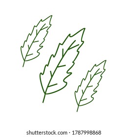 
leaf. illustration of a leaf with an outline. design vector