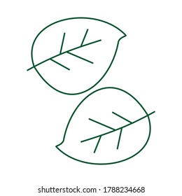 leaf. illustration of a leaf with an outline. design vector