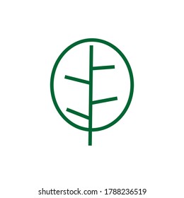 leaf. illustration of a leaf with an outline. design vector