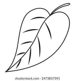 A leaf illustration in outline and vector format.