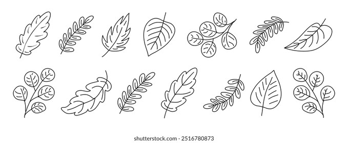 Leaf illustration set. Outline minimalist leaves clip art for seasonal design 
