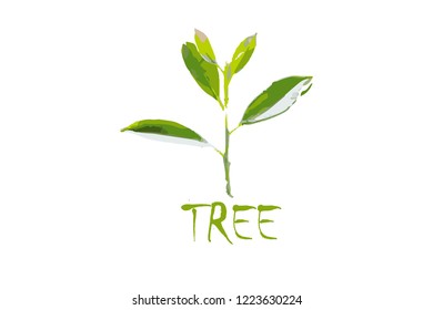Leaf illustration, tree with white background, suitable for work nature reserve